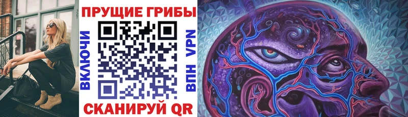 Псилоцибиновые грибы ЛСД купить наркоту Воскресенск